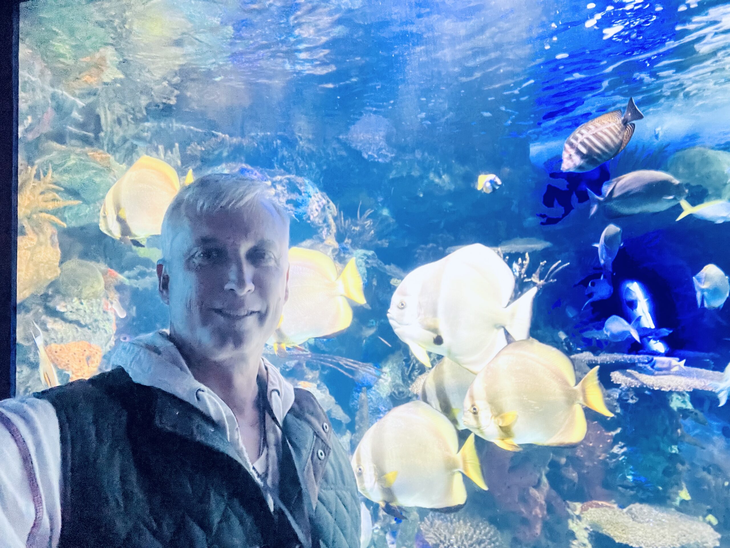 Toronto Film Festival w Joseph Neibich Nybyk