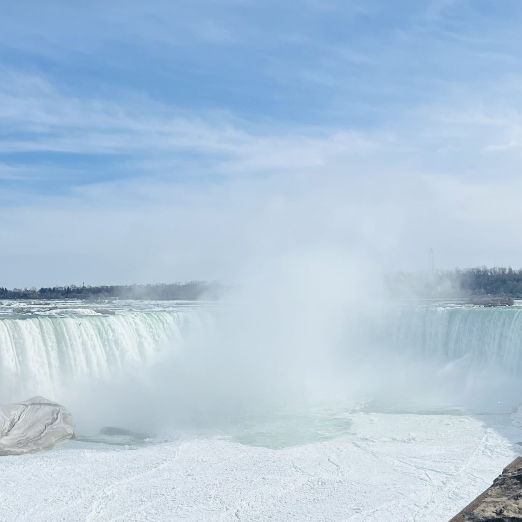 Toronto Film Festival w Joseph Neibich Nybyk
